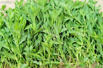 4月,抓緊吃這個菜,藥食同源,營養價值高!簡單一炒清香脆嫩!