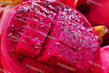 腸道「推糞機」被發現，不是火龍果而是它，隔天吃一次，宿便沒了