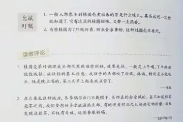 低估了這個桂圓殼茶的威力，陳允斌老師果然沒有騙我！