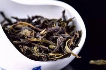 鴨屎香是紅茶還是綠茶?有哪些特點?好喝麼?