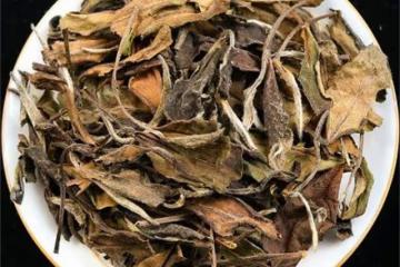 白茶哪裡產的最出名？這幾年什麼茶最瘋狂？絕對是福鼎白茶