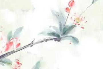 64歲老人再婚55歲大媽，以為有幸福，卻沒想到第一晚就過不下去