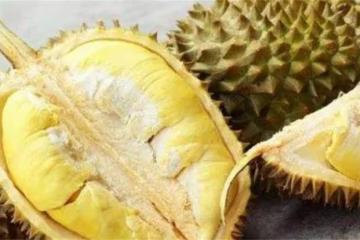 榴槤開了不熟怎麼補救？榴槤打開後沒熟怎麼辦？這個土方法不錯