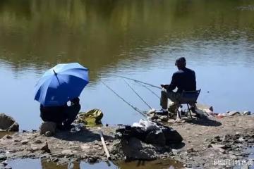 中午釣魚,怎麼釣才能大豐收?來聽聽老釣手的經驗分享!
