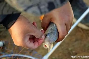 蚯蚓釣鯽魚,調漂技巧大揭秘!
