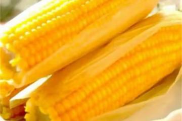 玉米是碳水化合物嗎？一根玉米夠一天的碳水嗎？