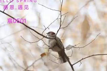 79歲老人骨折臥床,真實想法卻不願讓兒女知道,真相太扎心