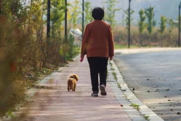 64歲獨居大媽的感慨：老伴因病去世後，我反而感覺生活自在多了
