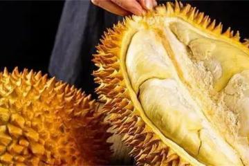 榴槤打開了不熟要怎麼放才能熟?教你怎麼處理才不會浪費