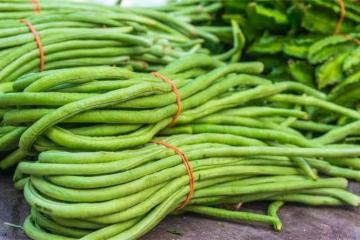 怎麼判斷豆角熟沒熟?豆角煮多久才能保證安全無毒呢?