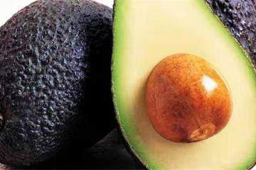牛油果營養豐富，只吃它可以減肥嗎？牛油果吃了有什麼好處？