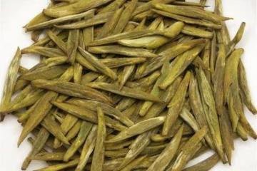 中國四大黃茶是什麼？中國黃茶有哪些？有什麼特點？