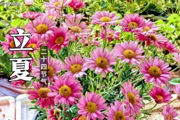老人說「立夏吃3寶，不往醫院跑」，5月5日立夏，再忙別忘吃這3寶