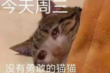 這又是在幹什麼……