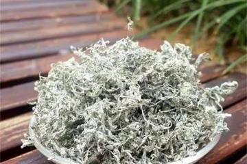 莓茶哪裡的好?莓茶的產地在哪裡?喝莓茶的好處是什麼?