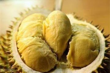 榴槤什麼時候吃是應季?榴槤雖然美味,但4類人群要少吃