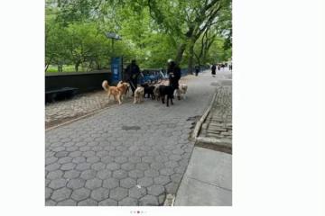 42歲郭晶晶素顏晨跑，自信曝光真實狀態，無名指婚戒超搶鏡