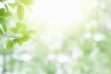 病房裡老人的境況讓老公感嘆，如果條件允許，四十歲再生個娃吧