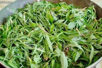 這菜全身是寶，卻因名字被人「嫌棄」，比薺菜還營養，蒸包子真香