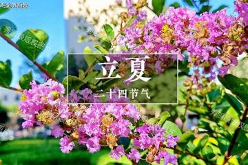 立夏後,要懂得忌口!老人說「立夏3不吃,一年病不沾」,指啥?