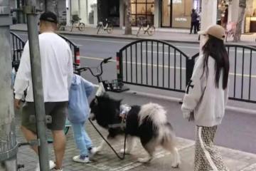 小海綿要有新爸爸啦?baby穿著樸素與兒子遛狗,神秘男子貼心陪伴