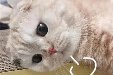 她被霸凌了嗎?