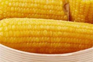 玉米熟的保存還是生的保存？教你幾個技巧，放一年味道也不變