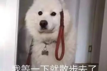 她倆的臉……傻傻分不清？
