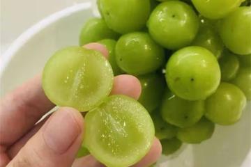 怎麼區分晴王和陽光玫瑰？晴王葡萄與陽光玫瑰葡萄有什麼區別？
