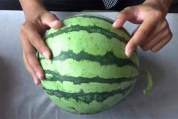 如何挑選西瓜？分享挑西瓜最好的三個方法，又沙又甜又好吃