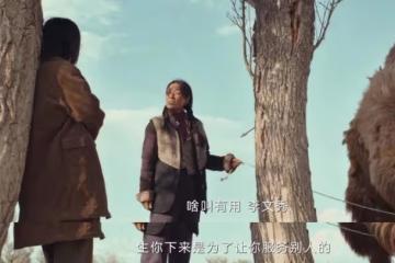 《我的阿勒泰》才播2集,就拿下全國收視第一,央視這回淘到寶了