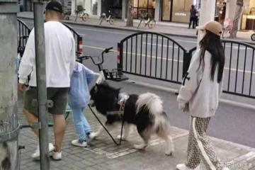 baby帶小海綿遛狗！新男友全程牽著小海綿怕他摔倒，已獲家人認可