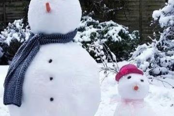 男子開車50公里進山,鏟了6個小時拉了一車雪給妻子玩,羨煞網友