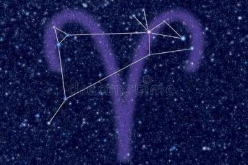 內心聰明,卻善於裝傻的星座:看透不說透,智慧深藏不露