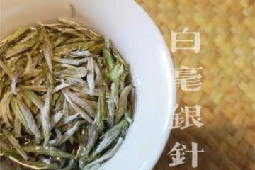 白毫銀針是什麼茶？眾多白茶中，為什麼愛茶人偏愛白毫銀針？