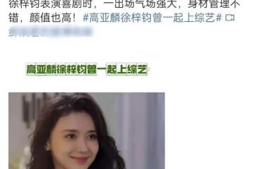 高亞麟的風波,扯開了娛樂圈「遮羞布」,蔣欣楊冪一語中的