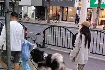 網友上海偶遇楊穎帶小海綿出門 母子倆遛狗散步愜意鬆弛