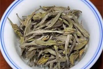 福鼎白茶產地哪裡的最正宗?白茶的主要產地是哪裡?