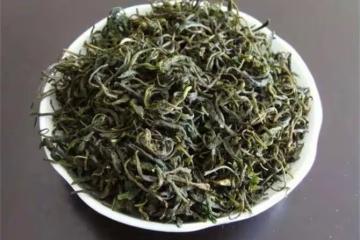 哪裡的毛尖茶好？如何選購正宗信陽毛尖？這兩個關鍵點特別重要