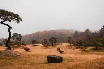 立夏後，財運較好，喜事連連，福氣滿滿，幸福呈現的4個星座