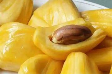 菠蘿蜜是涼性還是熱性？菠蘿蜜很甜，你知道它有什麼營養價值嗎？
