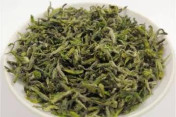 蒙頂甘露屬於什麼茶?愛喝綠茶的一定要了解,最古早的名茶
