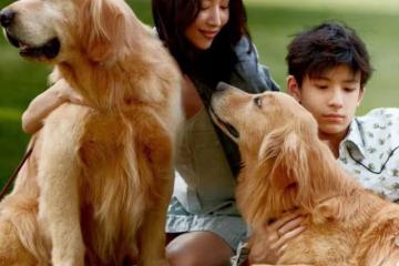 董潔兒子神似梁朝偉!不像爸爸潘粵明,大鼻子跟梁朝偉如出一轍