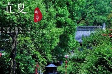 老人說「立夏3不吃，一年病不沾」，到三伏天之前要懂得忌口！