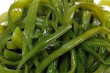 裙帶菜和海帶,到底誰才是「海藻之王」?哪個營養價值高?