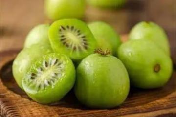 奇異莓怎麼吃?奇異莓的正確吃法有哪些?