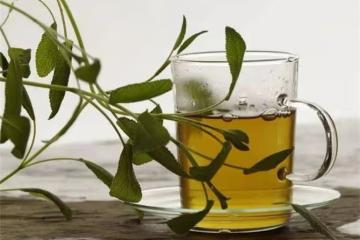 茶葉水可以澆花嗎？澆什麼花比較合適？
