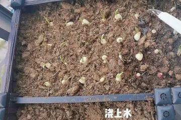 鄭愷老婆曬隔離日常：豪宅內搭帳篷看夜景很愜意，1歲女兒罕露面