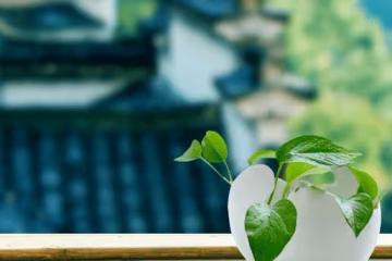 人這輩子,學會不在意,你就贏了!(建議收藏)