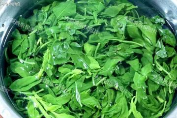 這菜全身是寶,2塊錢一把,很多人卻當它是野草,入夏遇到別錯過